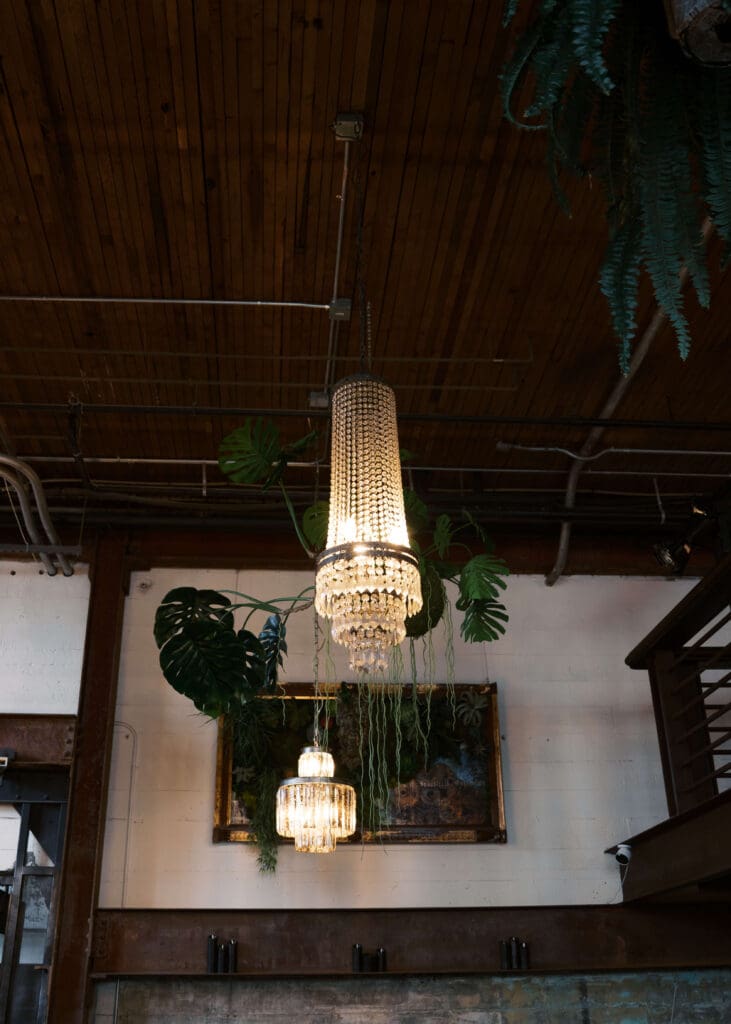chandelier among hanging plants at The Press Room
