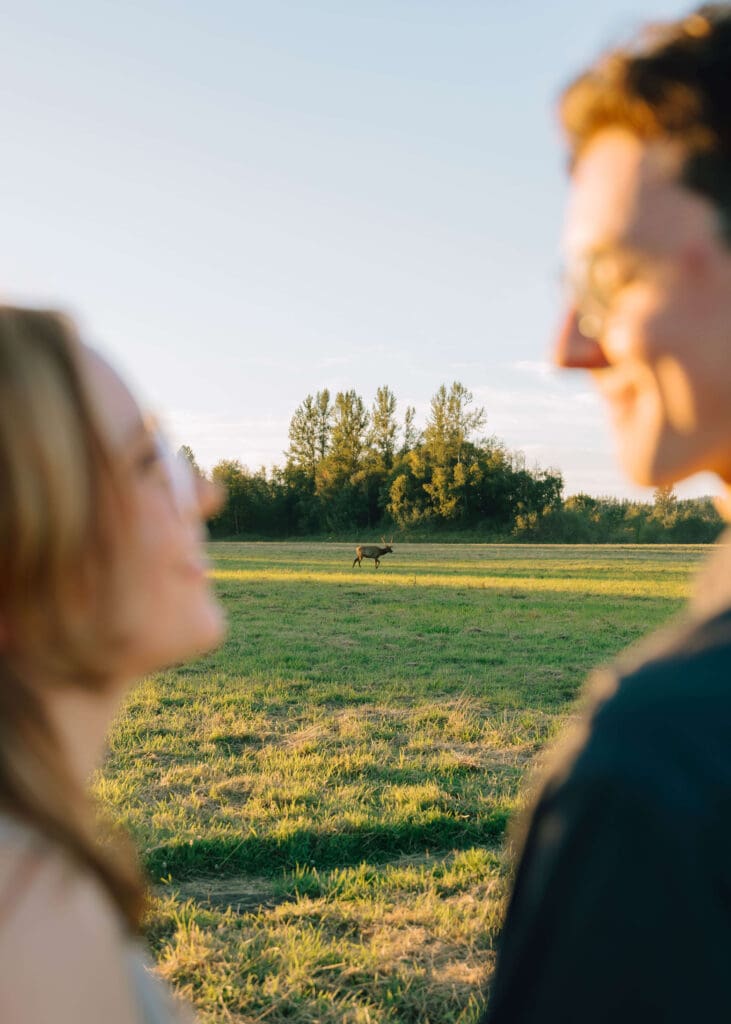 man and woman looking at each other with elk in the background by washington engagement photographer